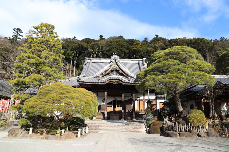 Exterior & Views 2, Laforet Shuzenji Sanshisuimei, Izu