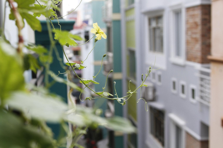 Scenery 1