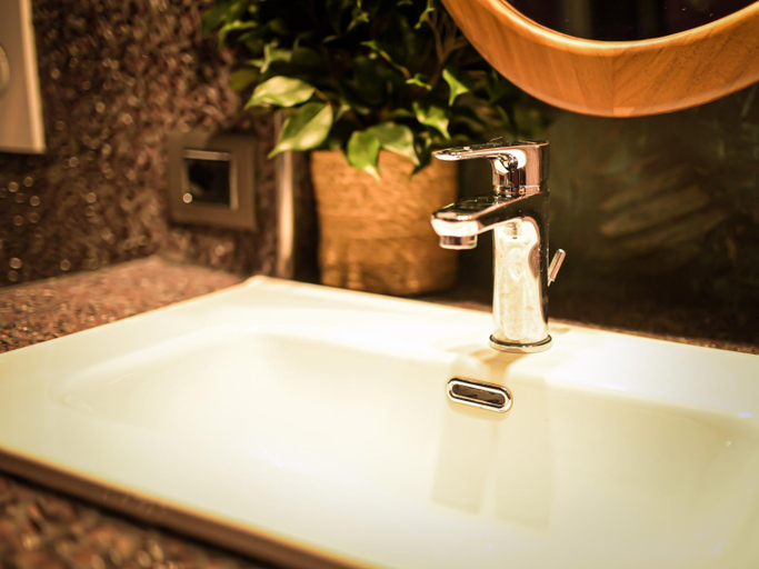 Others 4, PARADISE RANCH, Latina