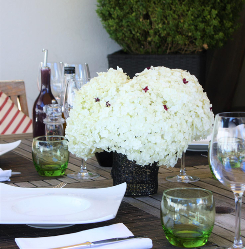 Food & Drinks 5, Strandhotel Schmerikon, See-Gaster