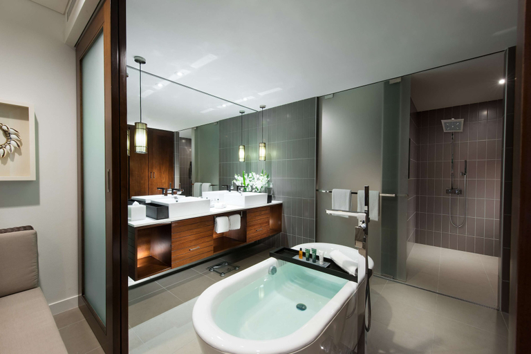 Bathroom 5, Hilton Fiji Beach Resort and Spa, Ba
