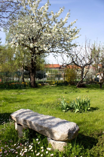 Others 2, Villa Delbia - L'Elfo, Biella