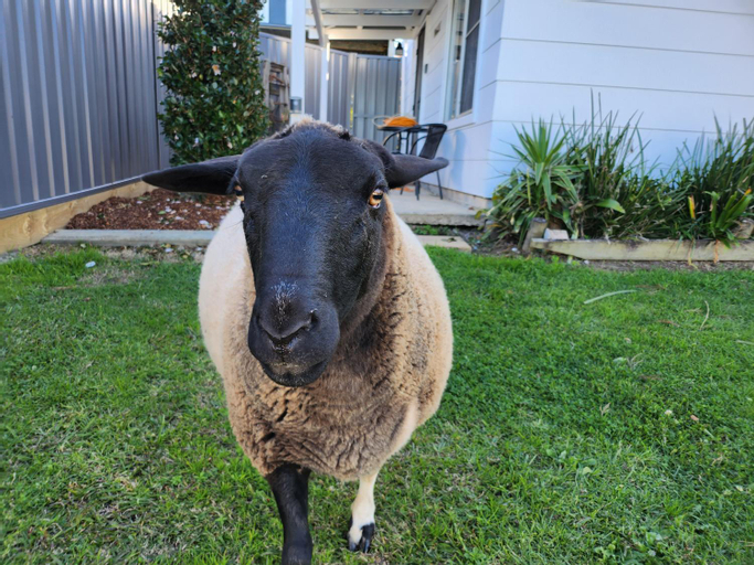 Others 4, Dora Creek Cottage, Lake Macquarie - West