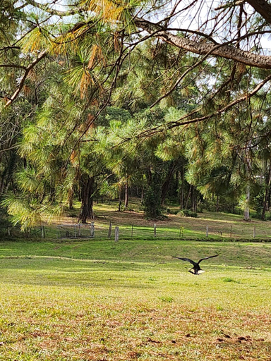 Others 3, Dora Creek Cottage, Lake Macquarie - West