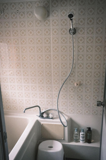 Bathroom 3, The Greenhouse, Myōkō