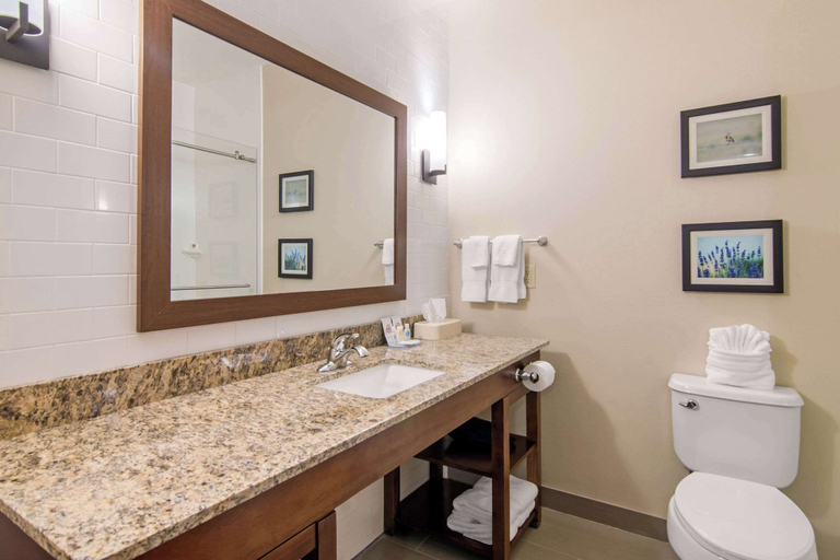 Bathroom 4, Comfort Inn & Suites Independence, Montgomery