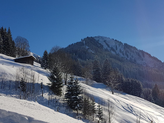 Others 4, Haus Alpengluck, Bregenz