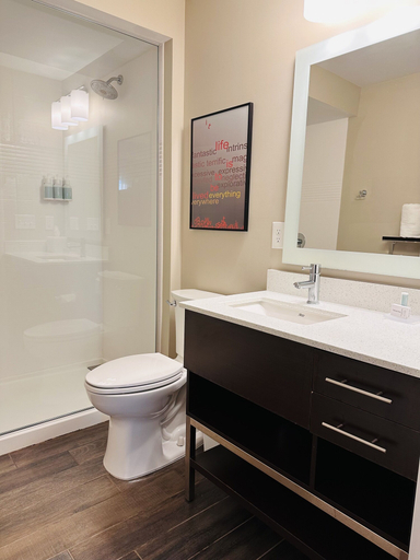 Bathroom 4, TownePlace Suites by Marriott Clinton, Hunterdon