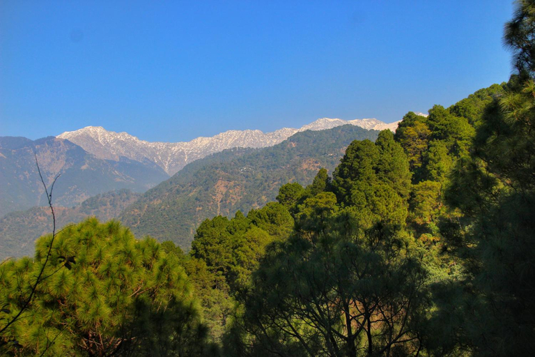 Others 5, Rendezvous Resort Dharamshala, Kangra