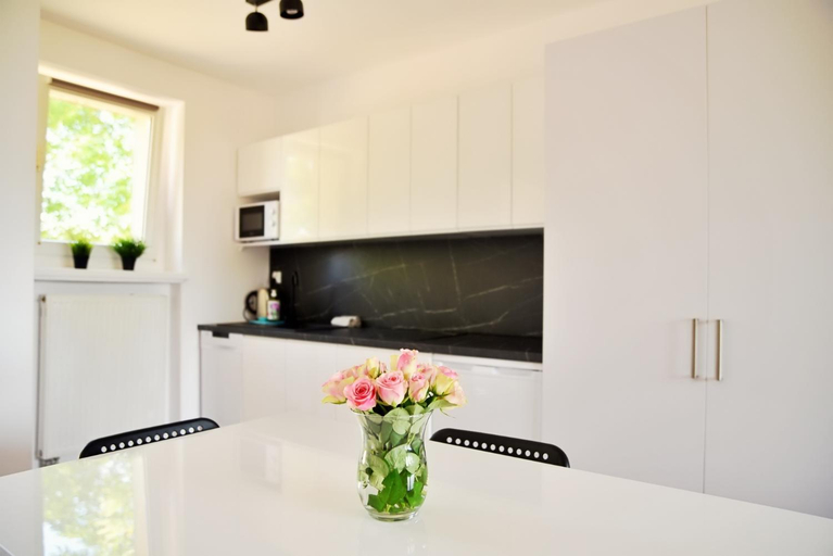 Others 2, Apartamenty Lotnisko Leszno, Leszno City
