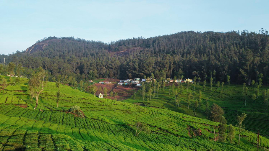 Others 5, Lynfields leisure, The Nilgiris