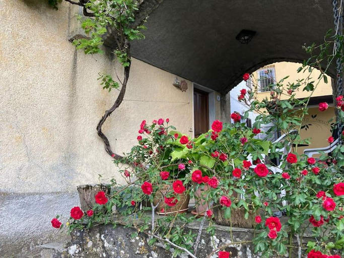 Exterior & Views 1, Casa nel borgo - A Rigadea, La Spezia