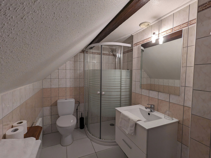 Bathroom, Hôtel Restaurant du Chasseur, Bas-Rhin