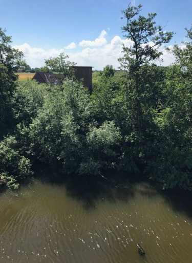 Miscellaneous 5, Waterkant 48.2.s Comfortable Holiday Residence, Friesland
