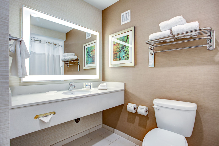 Bathroom 4, Fairfield Inn & Suites Springfield Holyoke, Hampden
