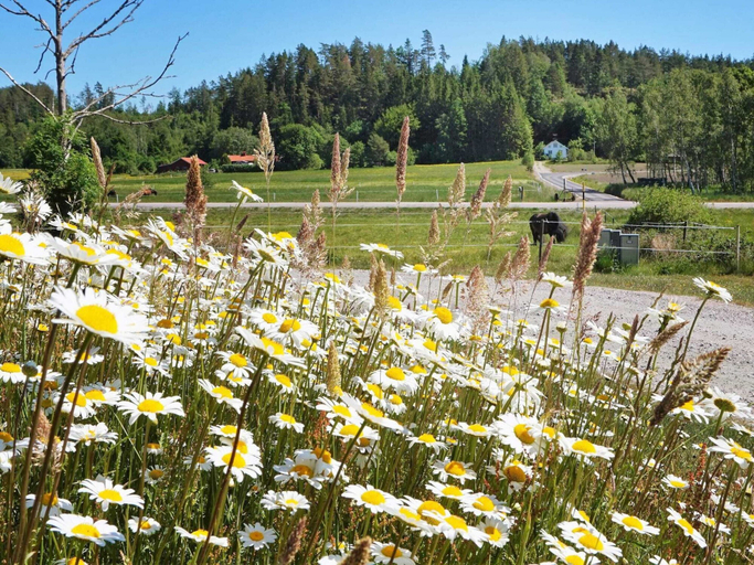 Others 4, 4 Person Holiday Home in Ucklum, Stenungsund