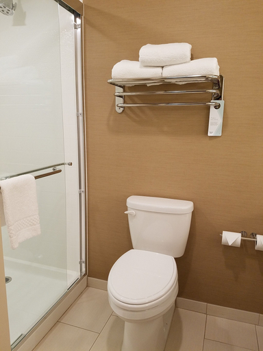 Bathroom 4, Fairfield Inn & Suites Springfield Holyoke, Hampden