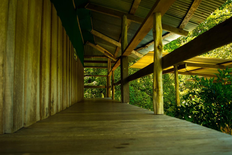 5, Albergue La Laguna, Golfito