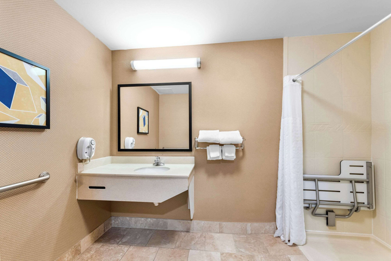Bathroom 4, Comfort Inn Harriman, Roane