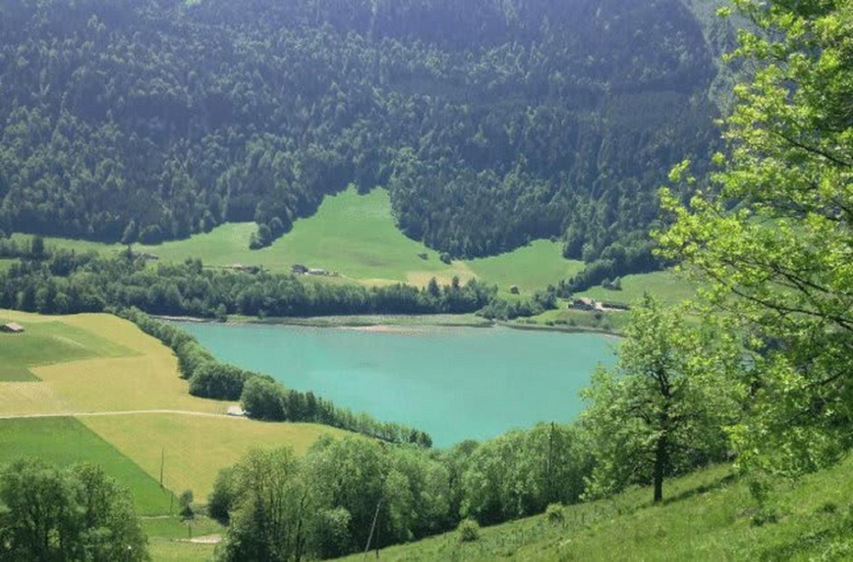 5, Heidi Chalet Alps - Unique Experience - Authentic Part, Pays-d'Enhaut
