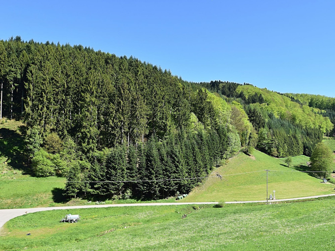 View from property 5, Black Forest Farmhouse in Charming Location, Ortenaukreis
