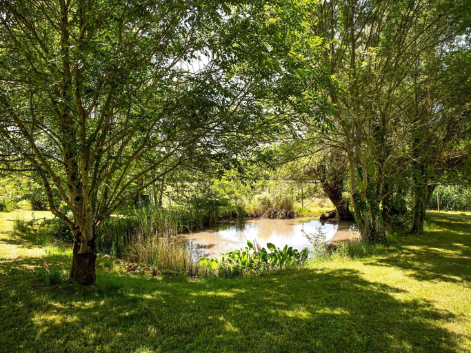 Pool, Holiday Home in Dordogne, Dordogne