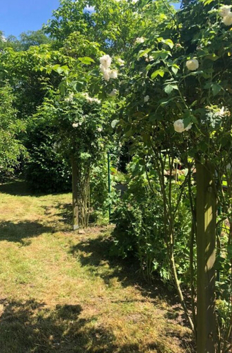 Property grounds, Holiday Home Meerling, Rostock