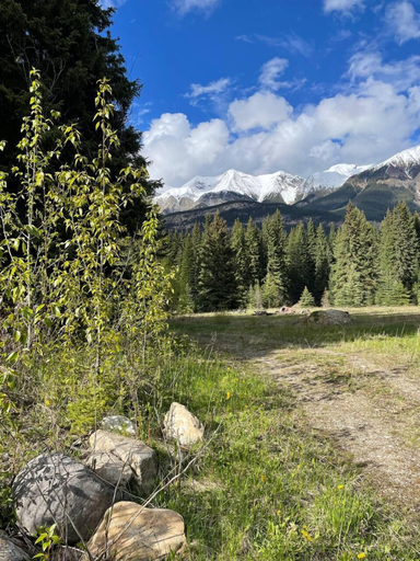 Others 3, Rustic Beaverfoot Lodge Woodland Cabin, Columbia-Shuswap