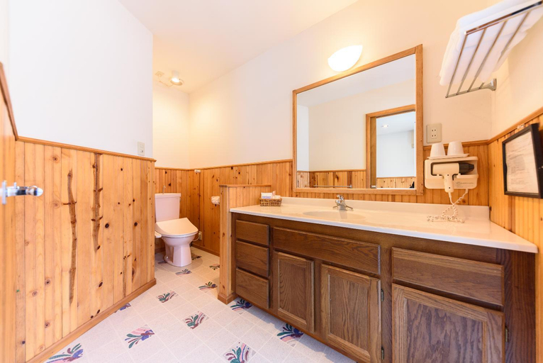Bathroom 4, Ginga no Yado Kinoko2seigo, Taketa