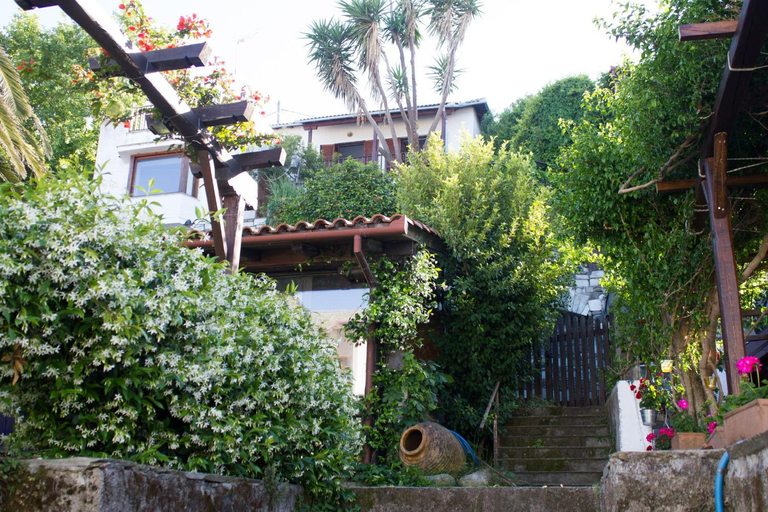 Others 5, Panagopoulos House, Thessaly