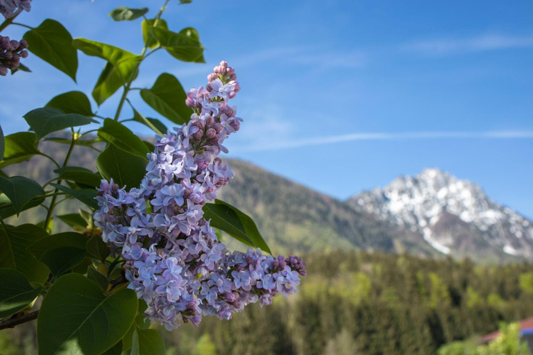 Others 3, Ferienwohnung Nagerlhof, Berchtesgadener Land