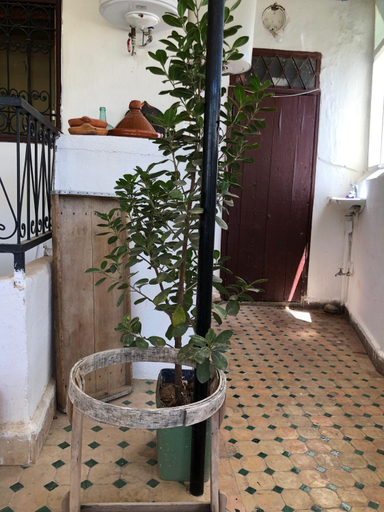Others 4, Dar Lalla Wafae, Fès