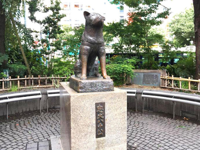 Shibuya Anon #B102, Shibuya