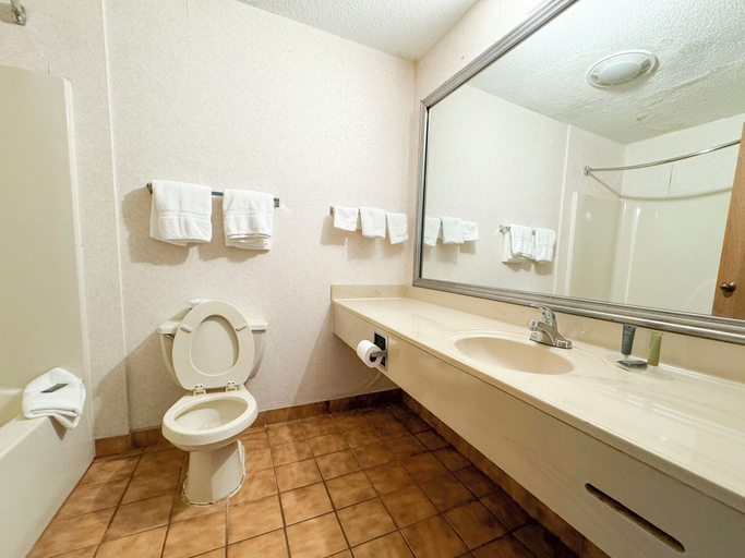 Bathroom 3, FairBridge Inn & Suites Batavia - Darien Amusement Park, Genesee