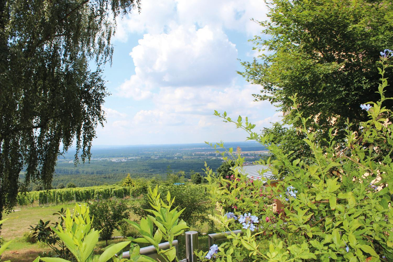 Others 2, Schone Aussicht, Aschaffenburg