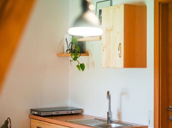 Interior detail 5, Loft-like Apartment With Swimming Pond, Scheibbs