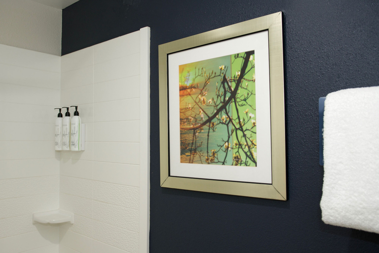 Bathroom 4, Fairfield Inn & Suites By Marriott Memphis Germantown, Shelby