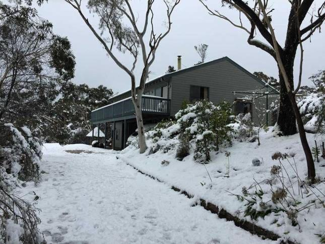 Treetops Retreat Katoomba, Blue Mountains