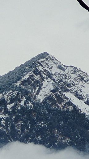 Others 4, Hotel Aashirwad, Chamoli