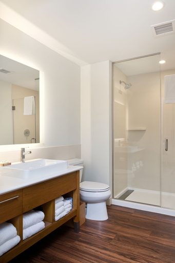 Bathroom 3, Element by Marriott Chattanooga East, Hamilton