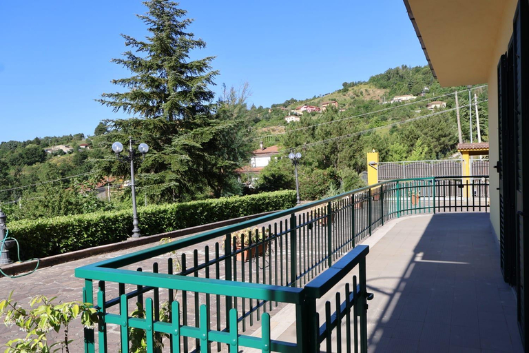 Others 3, B&b Mami, Potenza