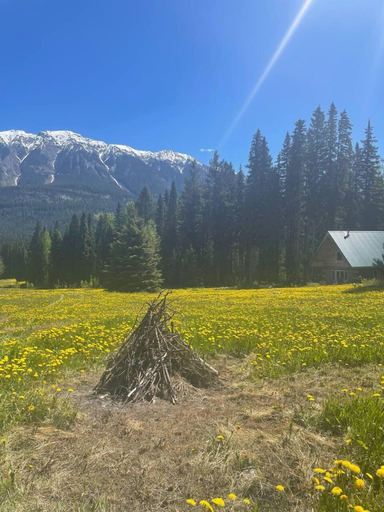 Others 4, Rustic Beaverfoot Lodge Woodland Cabin, Columbia-Shuswap
