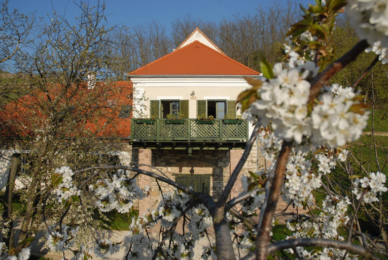 Entrance 2, Sarga Haz, Tapolca