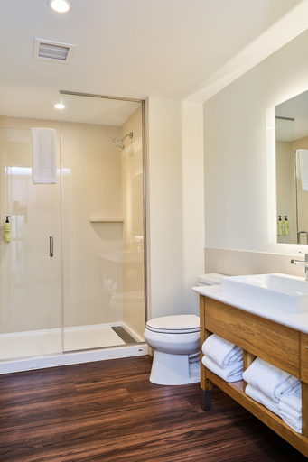 Bathroom 4, Element by Marriott Chattanooga East, Hamilton