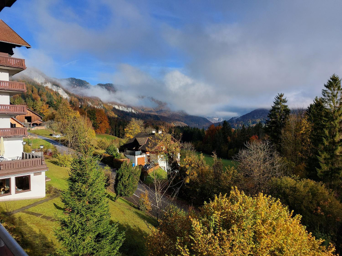 Others 5, Attractive Apartment in Bad Goisern with Terrace, Gmunden
