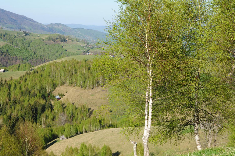 Others 4, Casa Marioara, Fundata