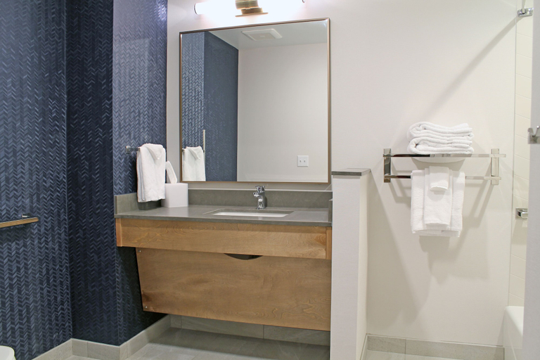 Bathroom 4, Fairfield Inn & Suites by Marriott St. Louis South, Saint Louis