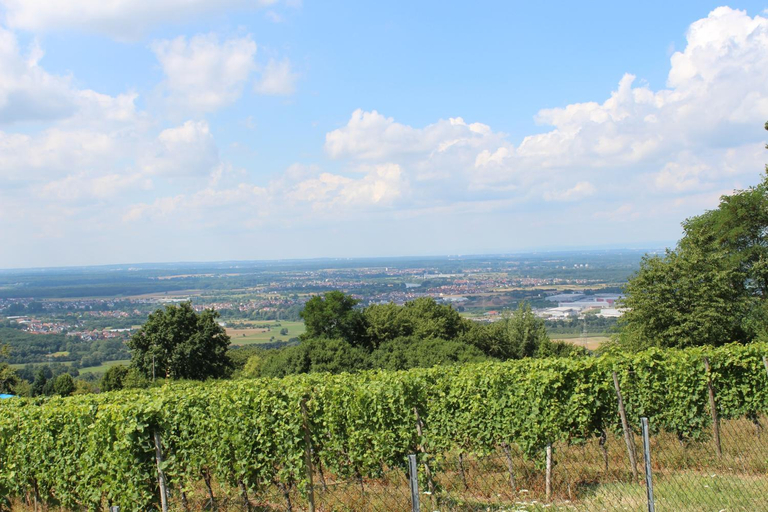 Others 4, Schone Aussicht, Aschaffenburg