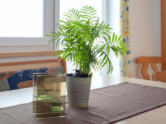 Others 4, Large Apartment With a Large Balcony in Kappl, Landeck