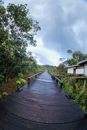 Others 4, Cedro Amazon Lodge, Mera
